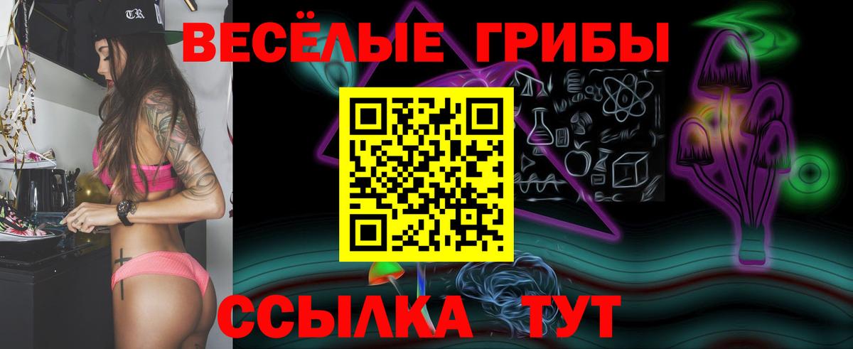Острогожск  Псилоцибиновые грибы мицелий  Псилоцибиновые грибы ЛСД  Вход с VPN 